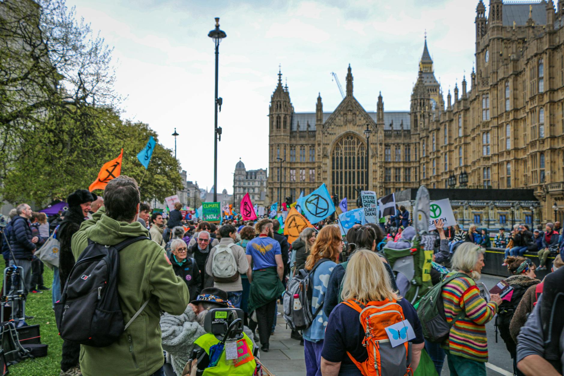 crowd protesting by the palace of westminster