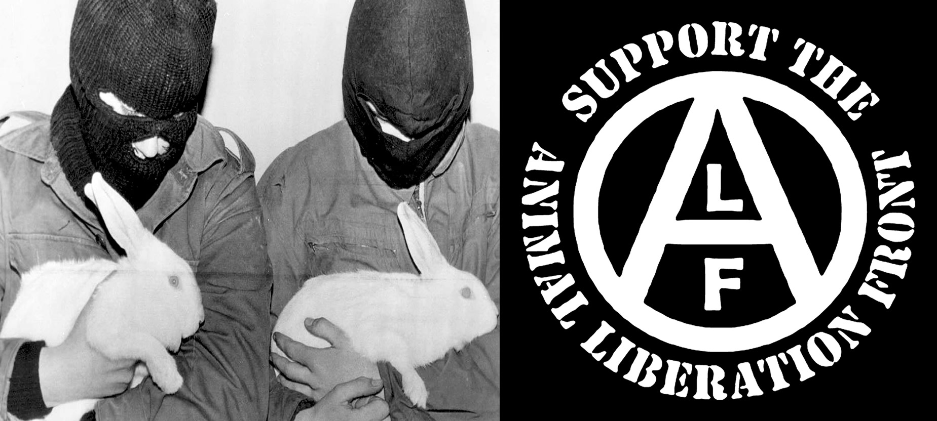 De grens tussen idealisme en terreur – het Animal Liberation Front ontleed